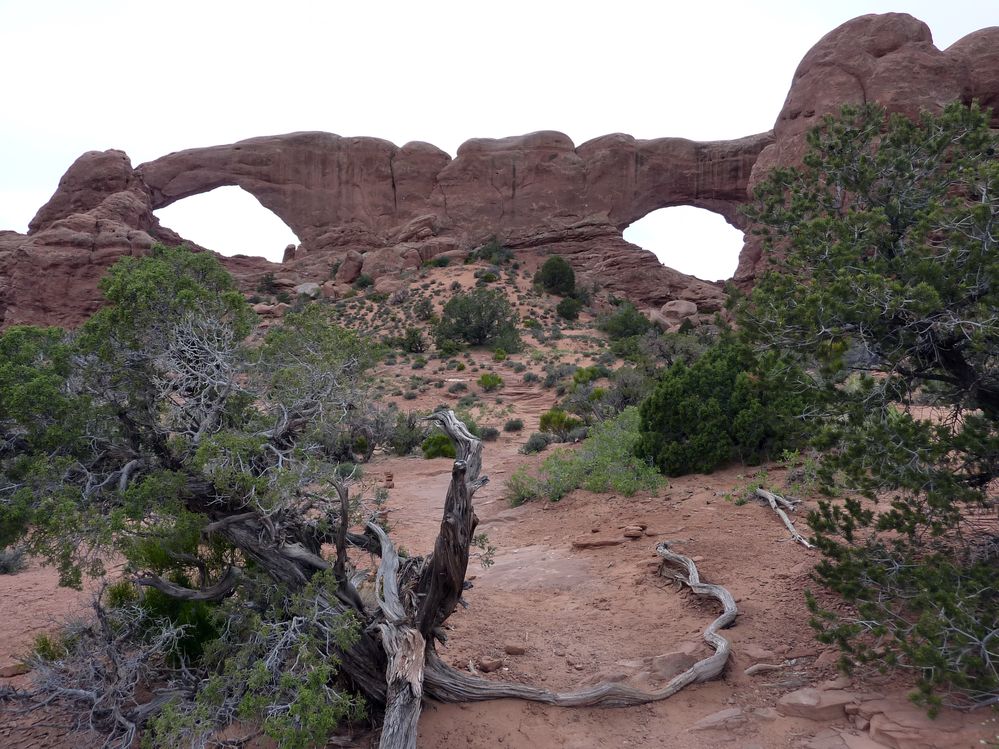 Arches Windows Arches (21).JPG